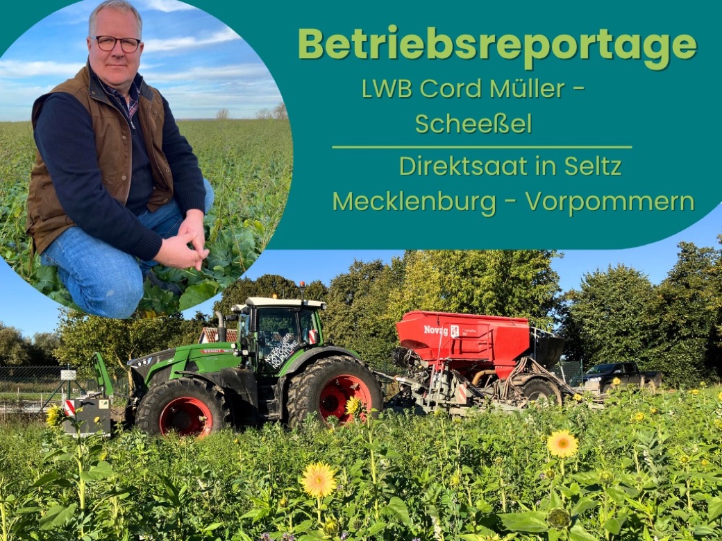 Direktsaat in Mecklenburg-Vorpommern, Betrieb Müller-Scheeßel in Seltz