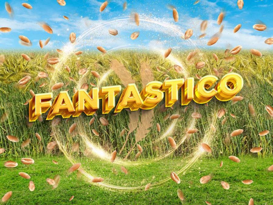 FANTASTICO, Wintertriticale von I.G. Pflanzenzucht