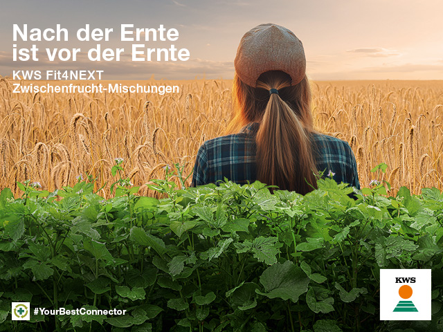 KWS Fit4NEXT Zwischenfrucht-Mischungen, nach der Ernte ist vor der Ernte
