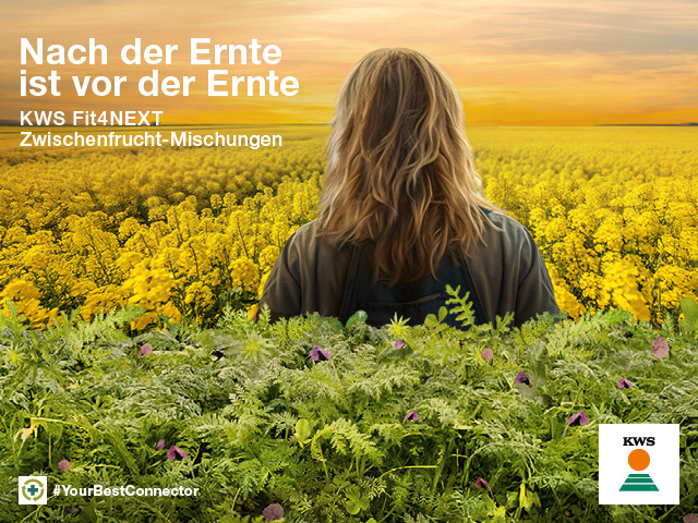 KWS Fit4NEXT Zwischenfrucht-Mischungen