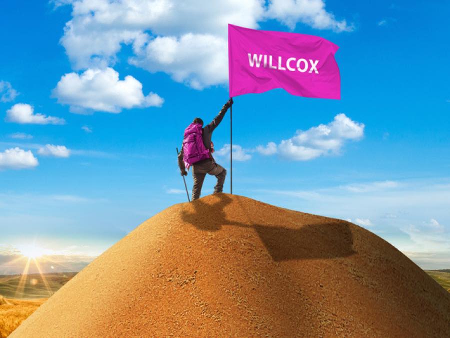 WILLCOX, A-Weizen von I.G. Pflanzenzucht